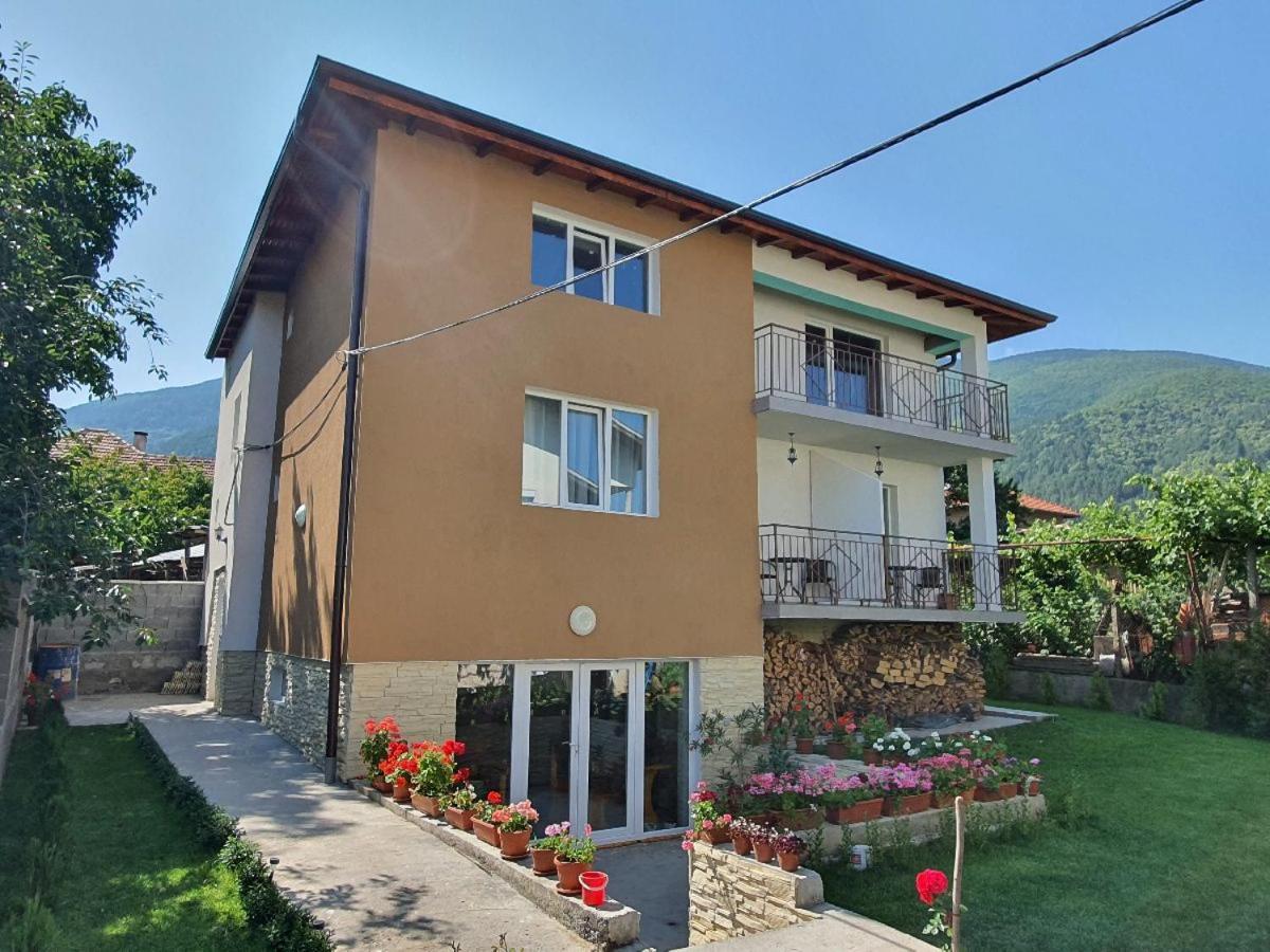 Дамяновата Къща Villa Sapareva Banya Dış mekan fotoğraf